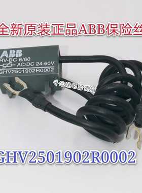 GHV2501902R0002全新原装ABB保险丝 RV-BC 6/60 AC/DC24-60 现货