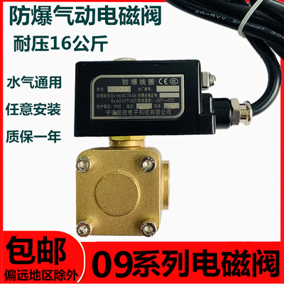 防爆电磁阀4分6分1寸高压水阀