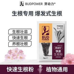 植物通用快速生根粉果蔬花卉树木壮苗木生根剂扦插移栽多肉营养液