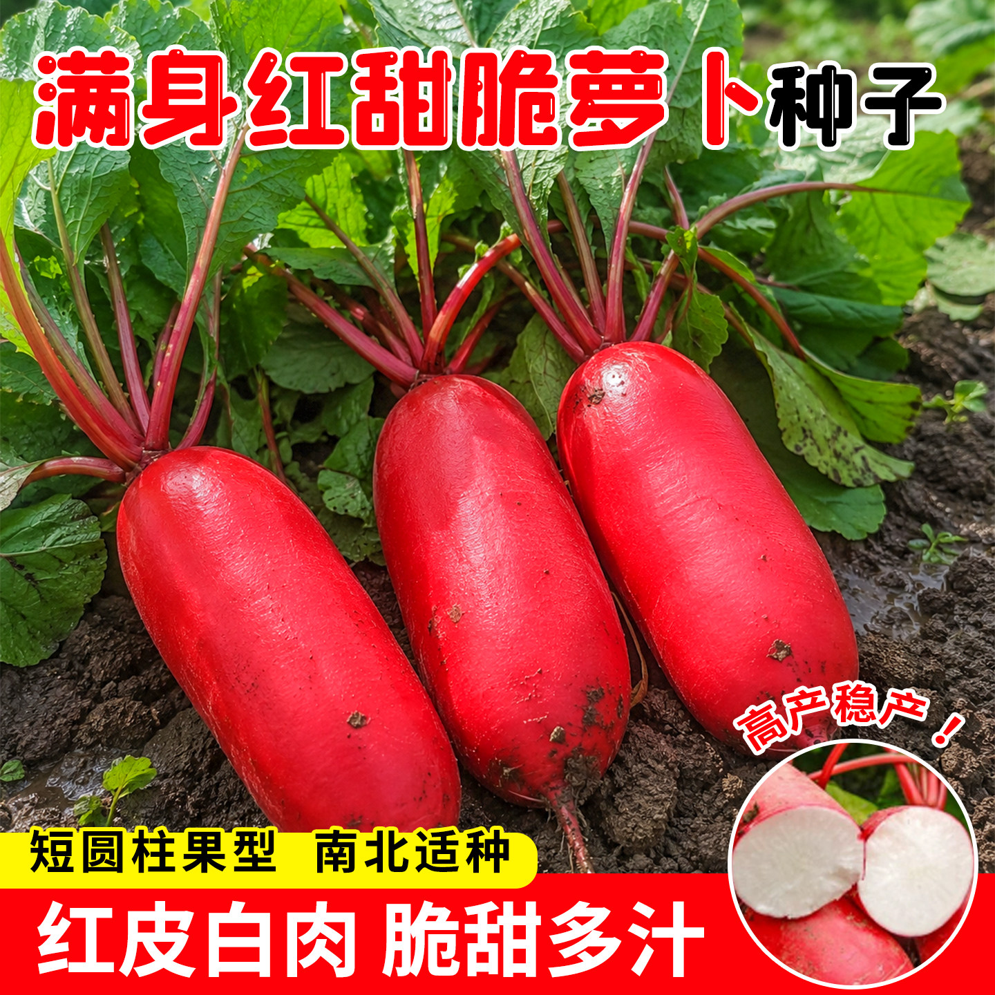 满身红萝卜种子皮鲜红肉脆甜多汁易种高产早熟水果萝卜阳台庭院籽