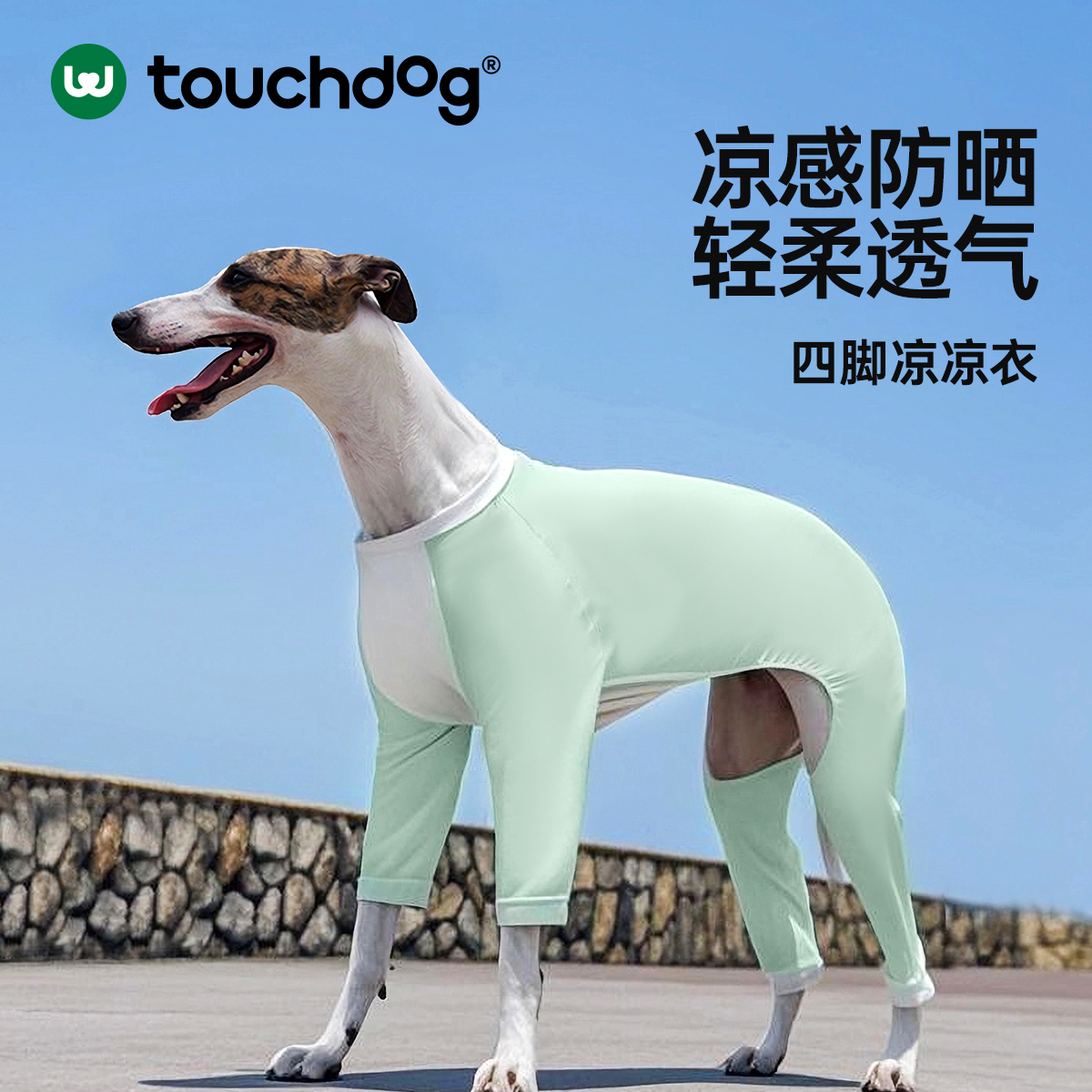 touchdog它它狗狗四脚灵缇凉凉衣