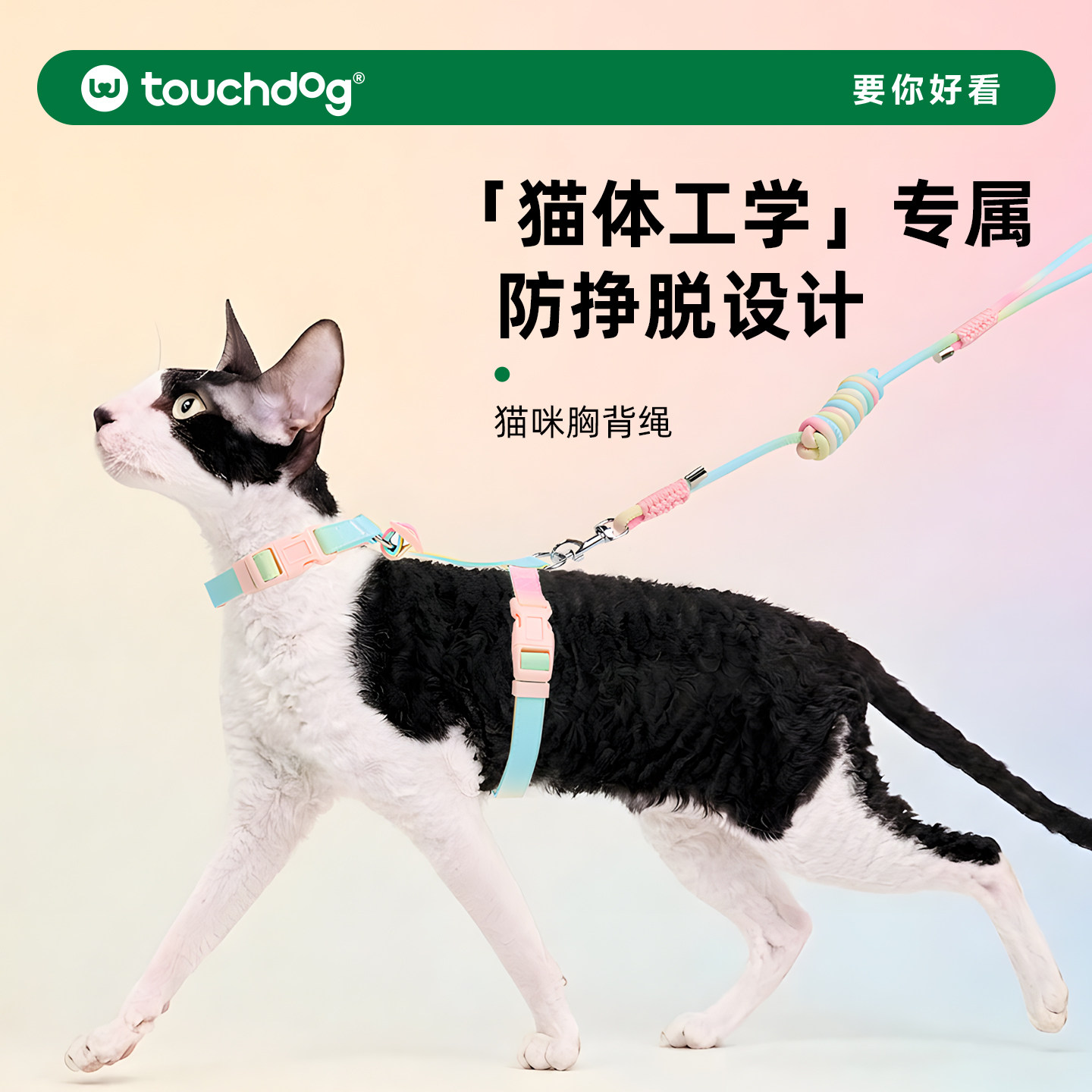 touchcat它它猫咪牵引绳图片