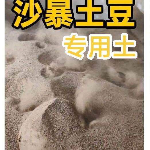 沙爆土豆专用炒洋芋炒花生炒面豆造景/装饰
