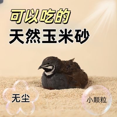 仓鼠玉米砂浴沙核桃砂金丝熊龙猫沐浴沙漠沙通心粉花枝鼠尿沙垫料