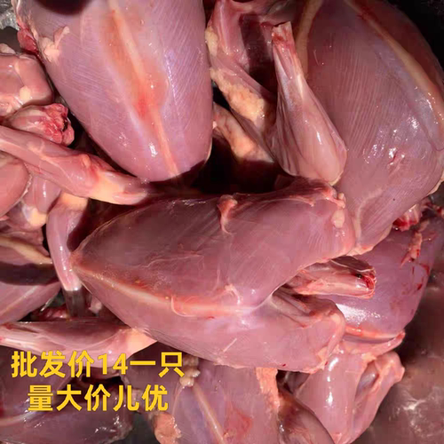 现杀原粮扒皮乳鸽6-7两烧烤
