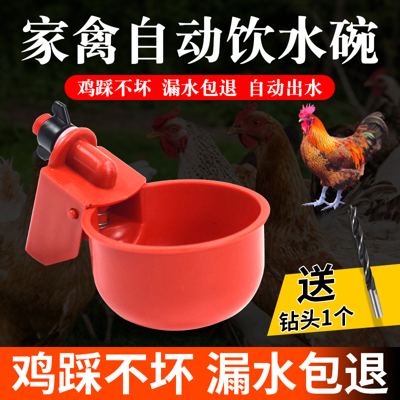 鸡用饮水碗鸡鸭鹅家禽自动饮水器雏鸡鹌鹑鸽子喝水碗小鸡喂水器