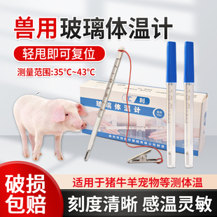 兽用水银体温计体温表高精度玻璃宠物猪牛羊测温计猪用肛门温度计