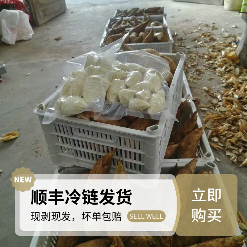 新鲜冬笋肉现挖现剥冬笋嫩笋尖去皮冬笋冷链发货农家特产应季蔬菜