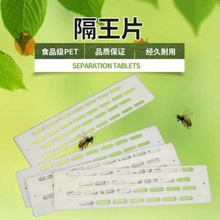 蜂王隔板蜜蜂箱防逃王片养蜂工具1