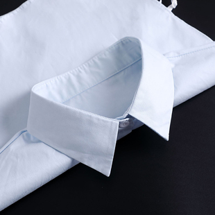 新款浅蓝纯棉衬衣领假领子百搭职业女士打底衬衫假领搭配西装衣领