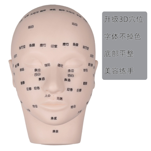 美容练习模特头按摩练习假人头模美容练习头模带穴位美容手法练习