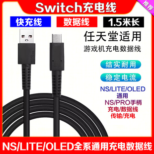 OLED连接线Lite 充电线 Ns数据线Type PRO手柄 USB快充 Switch