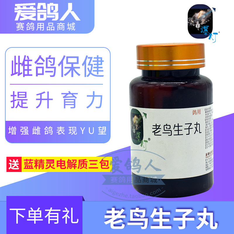 爆灯鸽药【老鸟生子丸】100粒/种雌鸽/母鸽/雌鸽宝/爆灯生子丸
