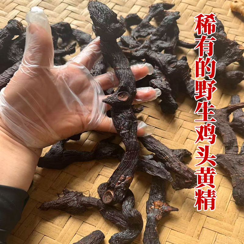 大山里的鸡头黄精柴火蒸太阳暴晒