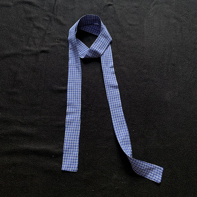 TRYEX 2025秋季丝薄蓝色格子围巾丝巾护颈长条围脖饰品窄条配饰女