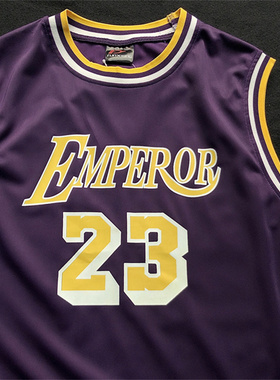 23号紫色印花无袖T恤男生队服背心夏季运动服球衣篮球训练服情侣t