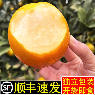 脆蜜金柑|顺丰正常发货|精品A+