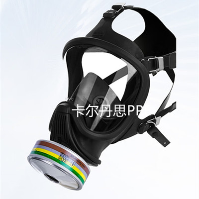 梅思安全面罩综合气体防毒面具