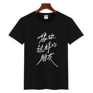陆虎2024演唱会像你这样的朋友同款T恤短袖 男女纯棉圆领应援衣服