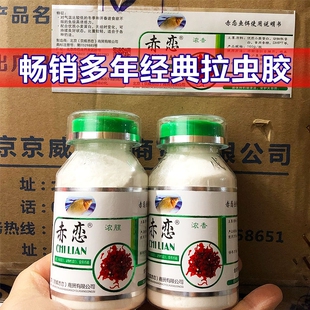 京威赤恋红虫活饵伴侣浓腥味浓香味粘粉虫胶赤练冬季蛋白北京发货