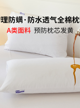 寝之堡防螨防水枕套新款全纯棉防尘螨儿童枕芯保护套一对装四季
