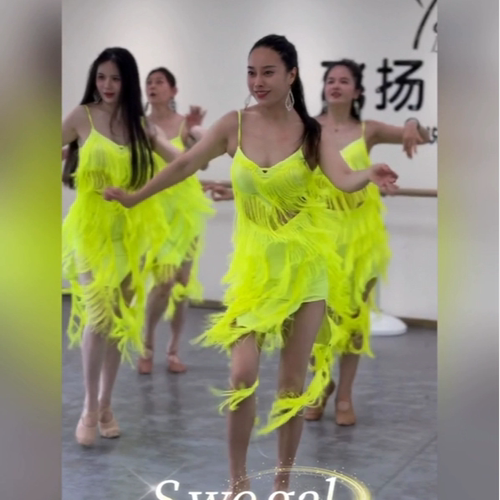 肚皮舞练功服鼓舞流苏裙东方舞