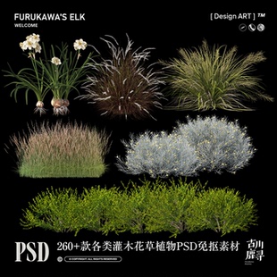 260款高清花草灌木丛植物园林室效果图元素免抠图PS后期合成素材