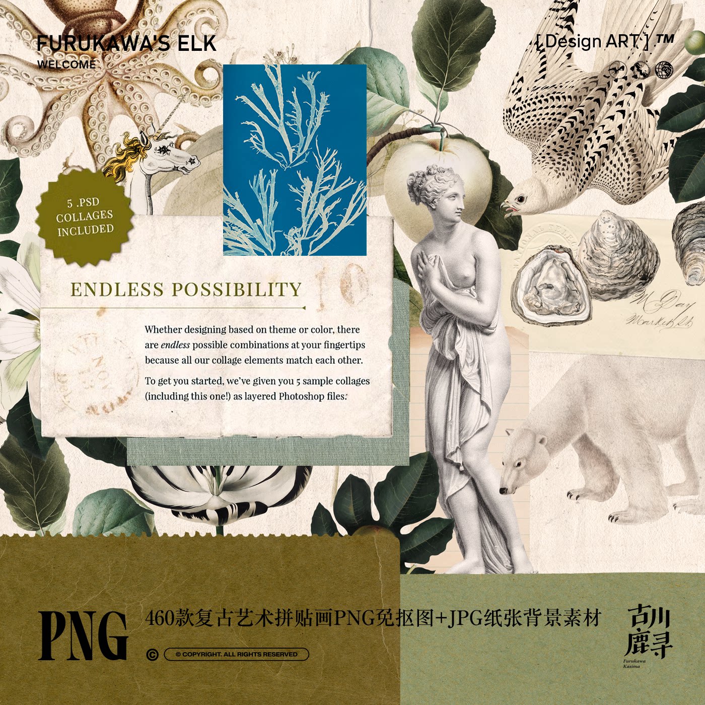 450款复古手绘艺术花卉动植物手帐拼贴PNG免抠图JPG纸张设计素材