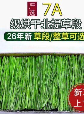 2026年烘干提摩西草兔兔龙猫