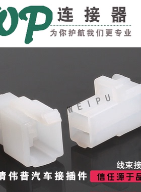 2P汽车连接器 DJ70224-6.3-21/11车用线束插头 接插件含端子