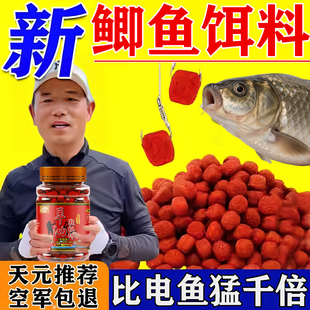 鲫鱼饵料野钓专用第一名主攻大板鲫黑坑散炮四季浓腥香钓鱼饵料yh