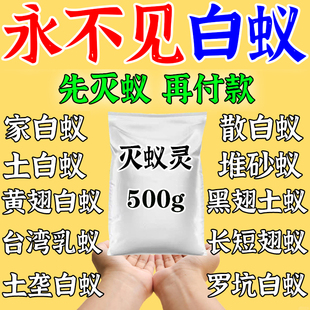 强效灭白蚊药全窝端家用白蚁克星防治专用灭白蚁蚂蚁药消杀药粉yh