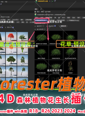 win版R18-R2024 c4d植物插件 Forester插件 c4d森林植物生长插件