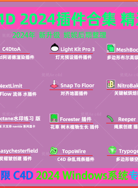 C4D 2024插件合集C4DtoA RealFlow Forester light kit插件限Win