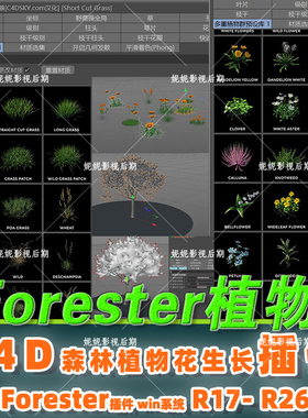 c4d植物插件 Forester插件 c4d森林植物生长插件 仅限win R17-R26