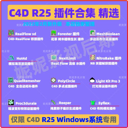 C4D R25插件合集 RealFlow Forester Light Kit Pro 3插件限Win用