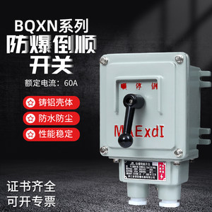 防爆倒顺停开关BQXN-10A BQXN-60A100A30A可逆开关防爆正反转开关