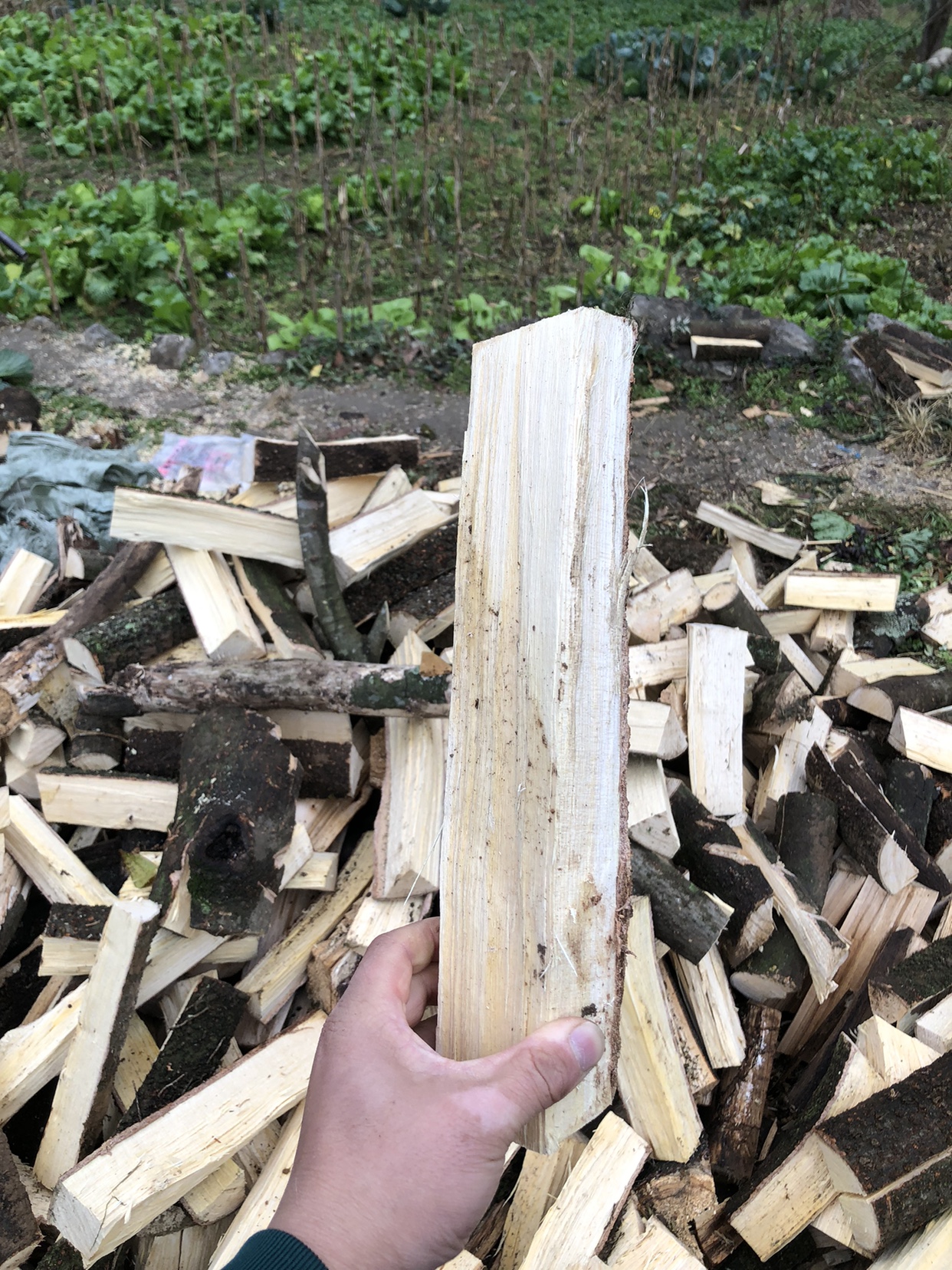 木柴柴火干柴原木耐烧露营篝火木块野炊壁炉真火火烧劈柴取暖木柴