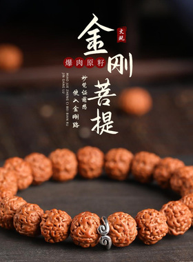 小金刚菩提手串男士核桃原籽高密高油文玩盘玩佛珠念珠直播货源