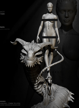 75mm 1/24 ZBBOY监制 龙的女人  树脂手办 女兵人 白模 TD-2755