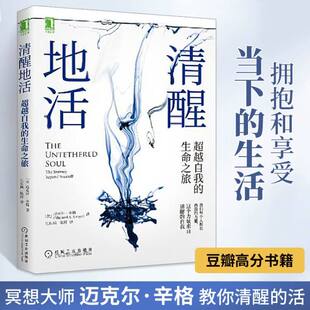 官网正版 清醒地活 超越自我的生命之旅 迈克 辛格 正念 冥想 臣服实验 活着 觉察 自我 平和 喜悦 幸福 心灵成长