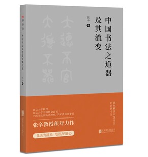 现货正版 北京联合出版 中国书法之道器及其流变 前世今生书法起源论碑帖学研究书法历史 社 张辛著带你解读中国书法