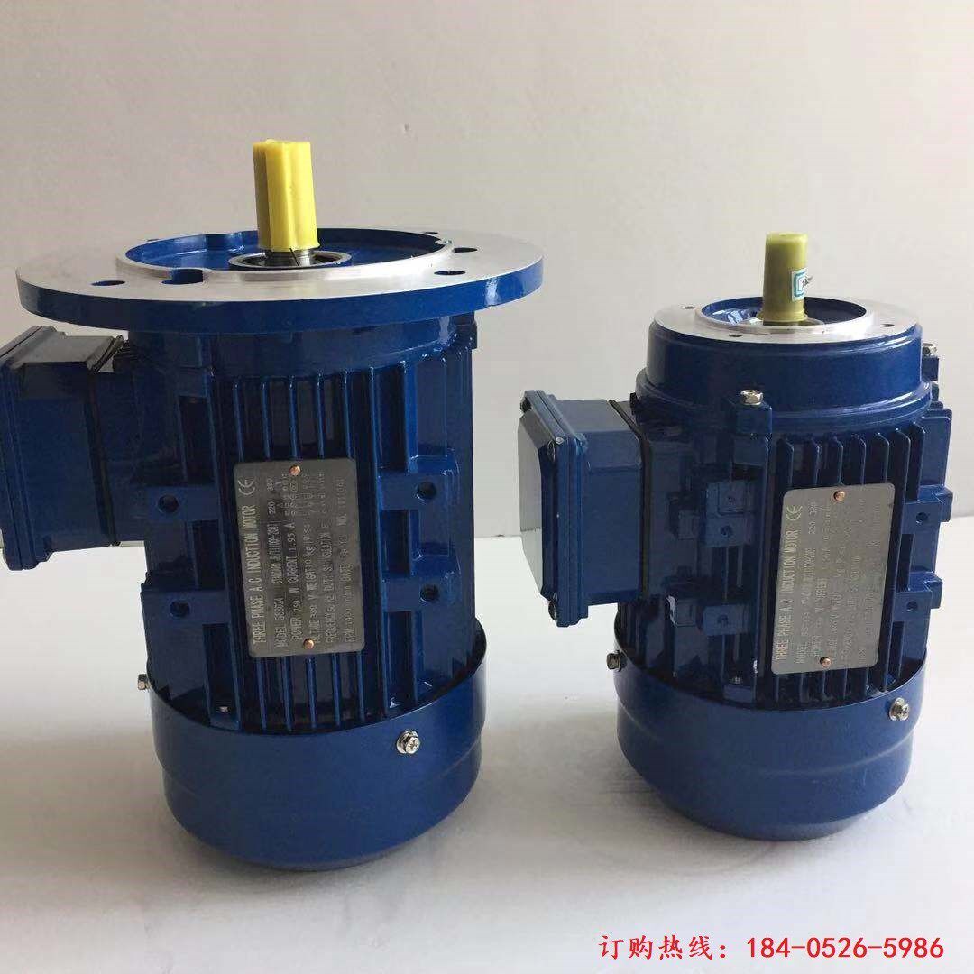 gs8024 gs7134 550w750w three phase ac induction motor电机