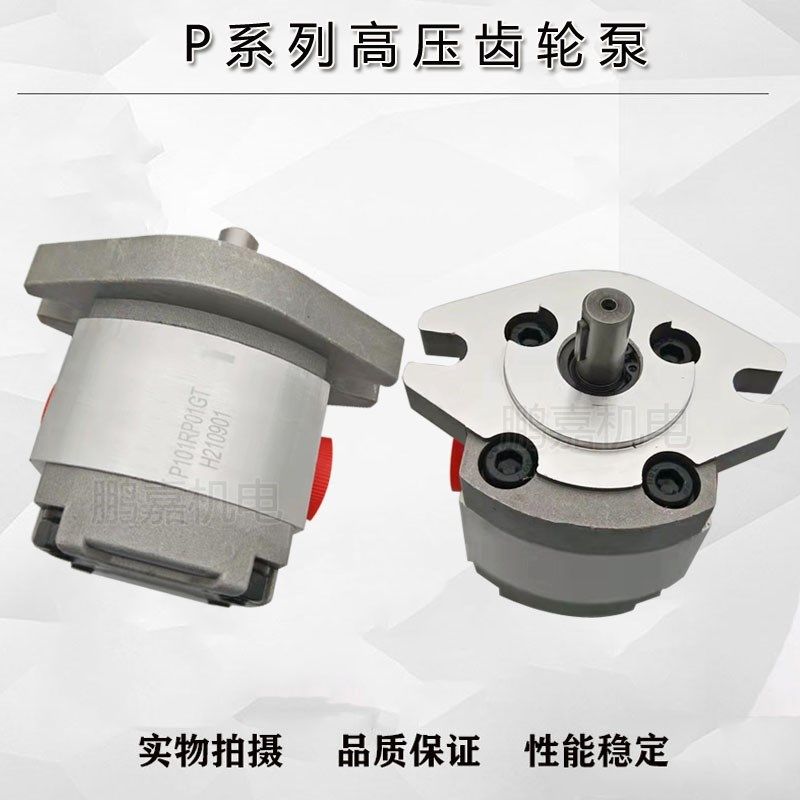 p101/102/103/104/p105/p104/p107/p108 rp01gt 12.7轴高压齿轮泵