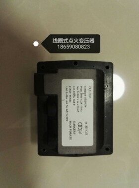 GEOX点火高压包2x5KV燃烧机点火变压器1x8KV高压点火器