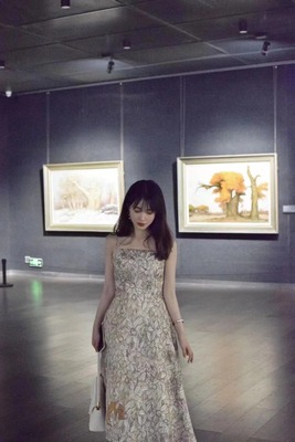 气质吊带连衣裙小狐狸绿野仙踪