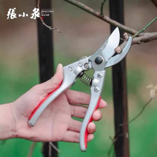 张小泉修枝剪刀果树园艺园林苗木省力修花枝SK5钢整枝剪家用工具