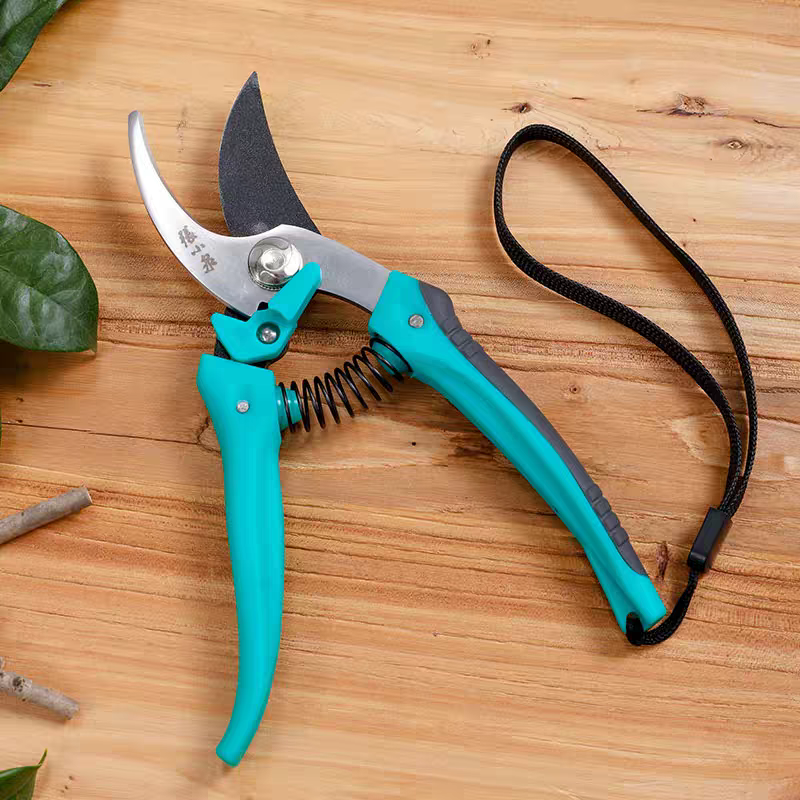 张小泉修枝剪果树专用剪园林园艺花艺花枝剪家用嫁接树枝剪枝剪刀