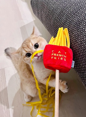 PurLab噗扑实验室逗猫棒我不是胖虎美食蹦迪鹅花花逗猫棒玩具