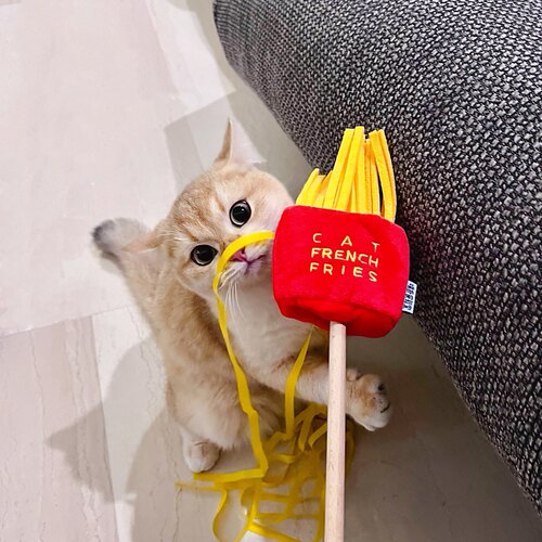 PurLab噗扑实验室逗猫棒高颜值